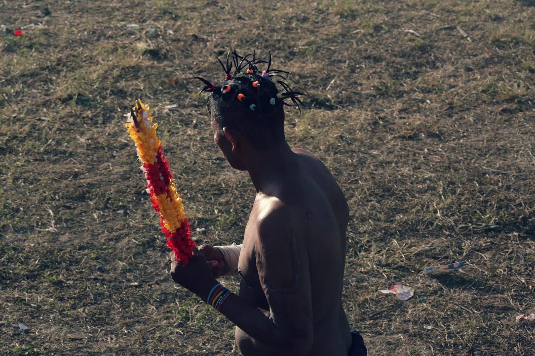 Cornadas de la vida (serie x5)