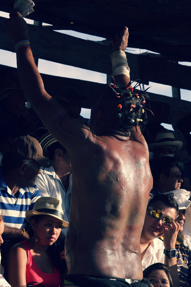 Cornadas de la vida (serie x5)