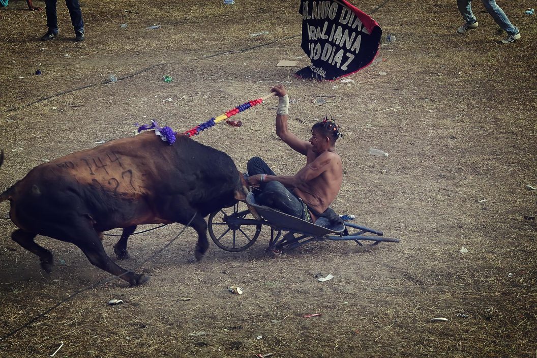 Cornadas de la vida (serie x5)