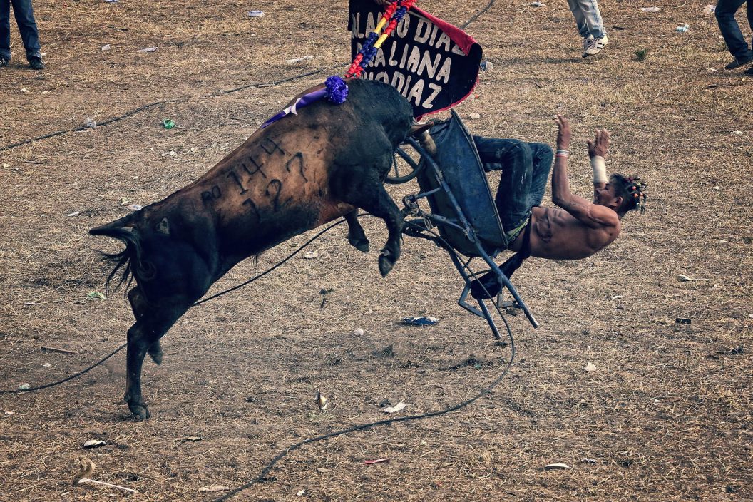 Cornadas de la vida (serie x5)
