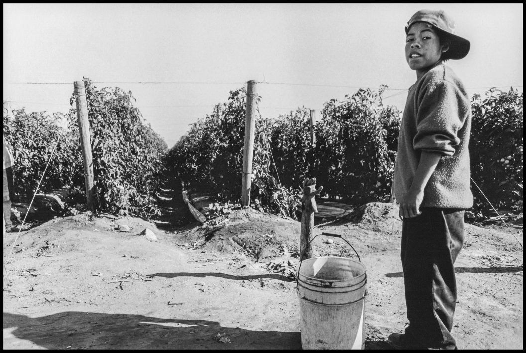 Niños en el campo