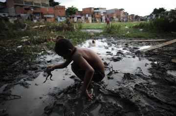 Meninos caçadores de rãs