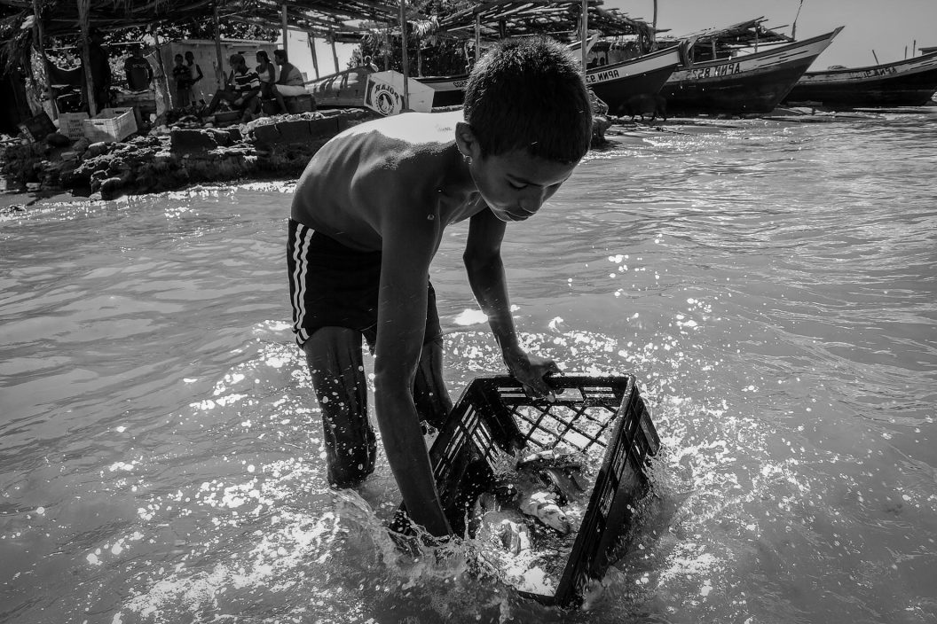 Infancia rural venezolana