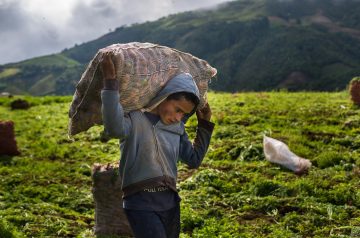 Jóvenes campesinos de los andes