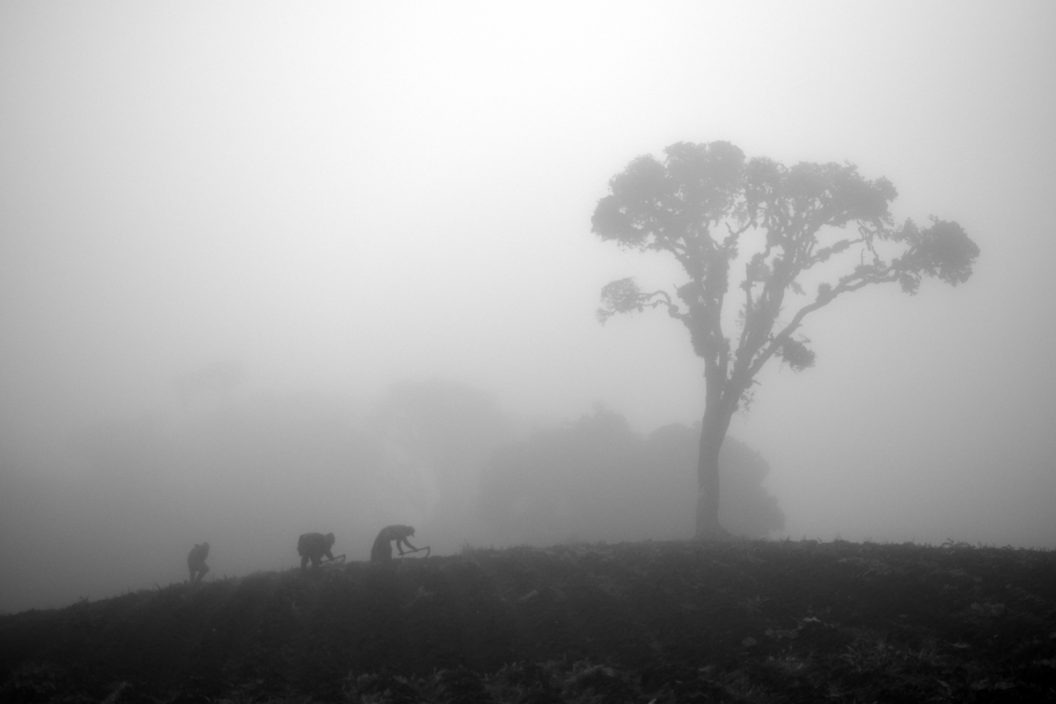 Fantasmas x 3 - La niebla cubre el Páramo