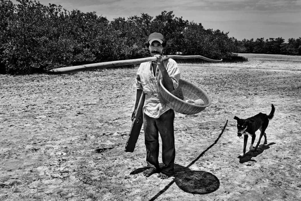 Parientes del mar (serie x3)