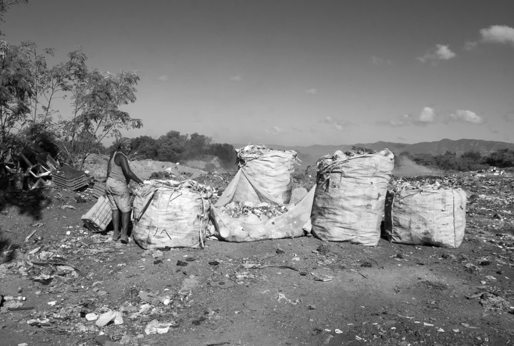 Migración Reciclada (serie x 3)