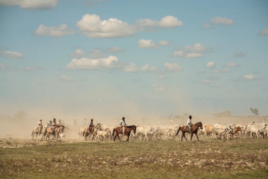 Trabajo de llano en verano