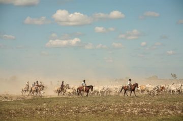 Trabajo de llano en verano