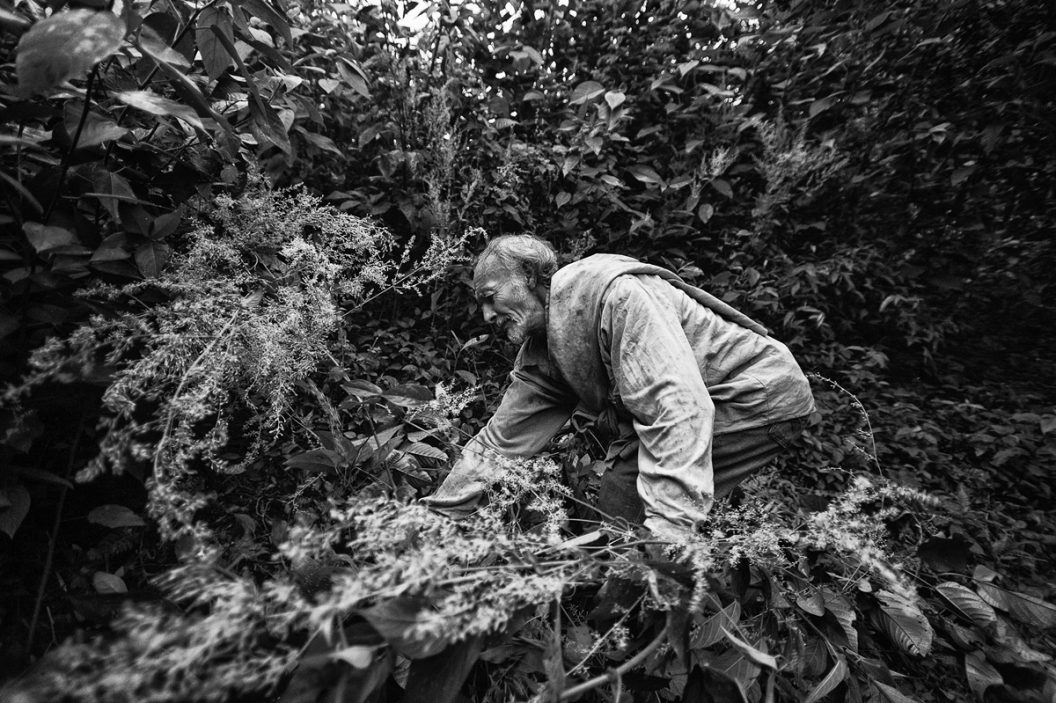 Más allá de la hoja de coca (serie x 3)