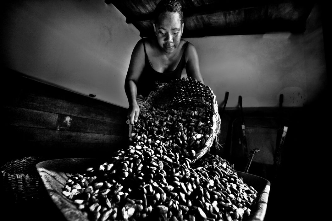 Mujeres que secan cacao al sol(serie x 3)