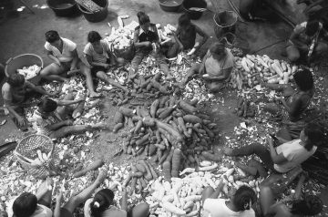 Mujeres de yuca