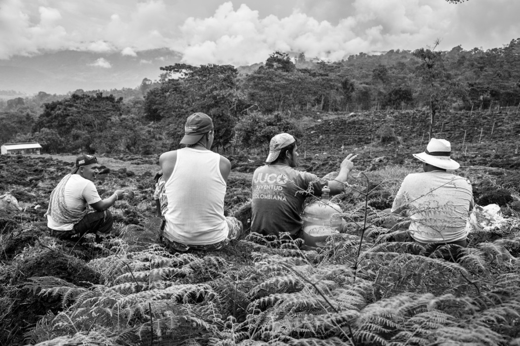 Los hombres que cambiaron las armas por el azadón 1- Andrea Moreno Chacon © COLOMBIA