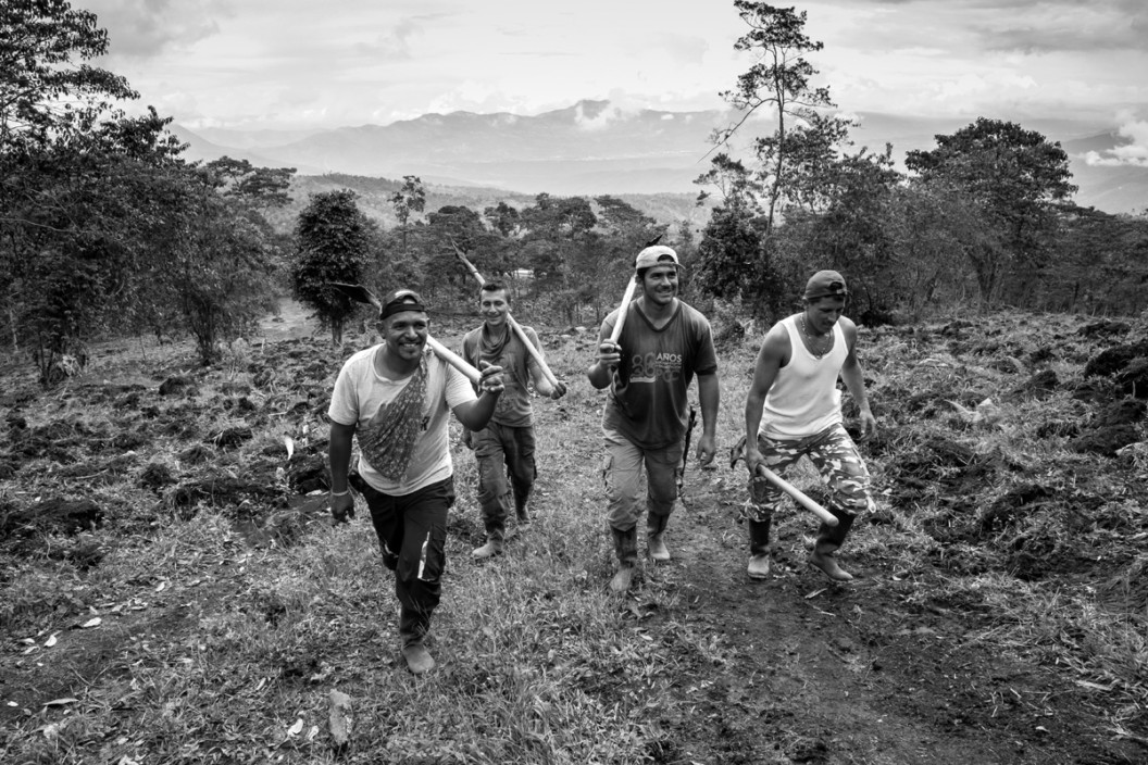 Los hombres que cambiaron las armas por el azadón 2 - Andrea Moreno Chacon © COLOMBIA