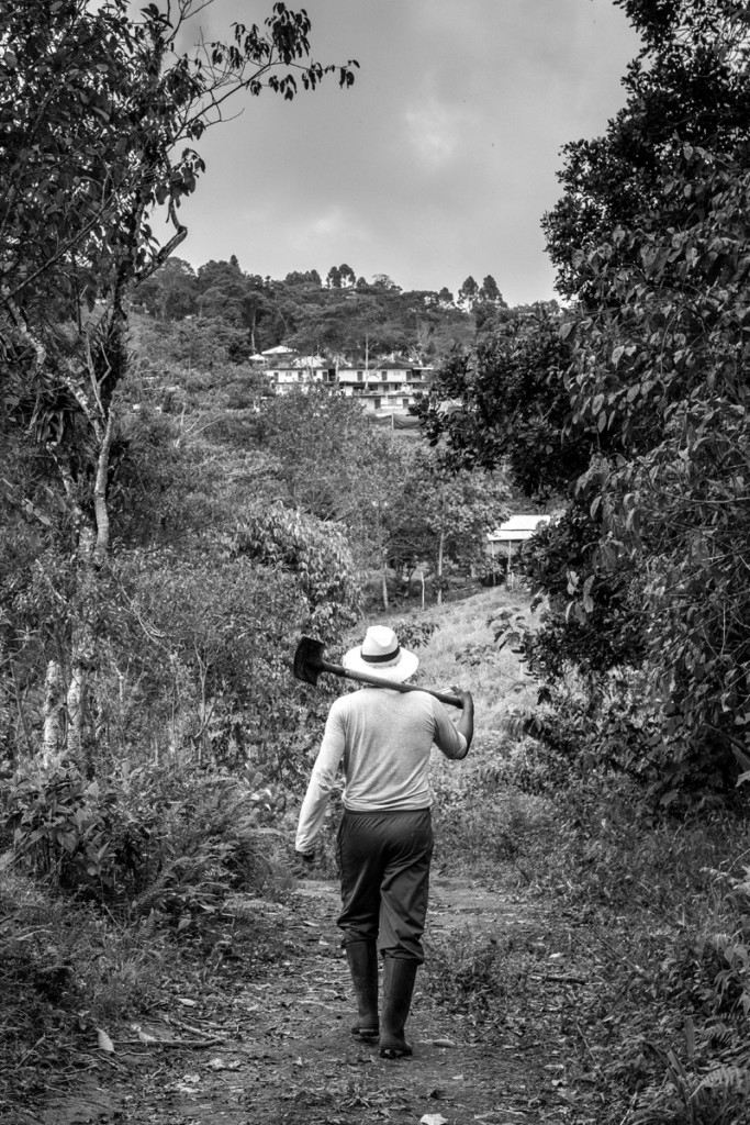 Los hombres que cambiaron las armas por el azadón 4 - Andrea Moreno Chacon © COLOMBIA