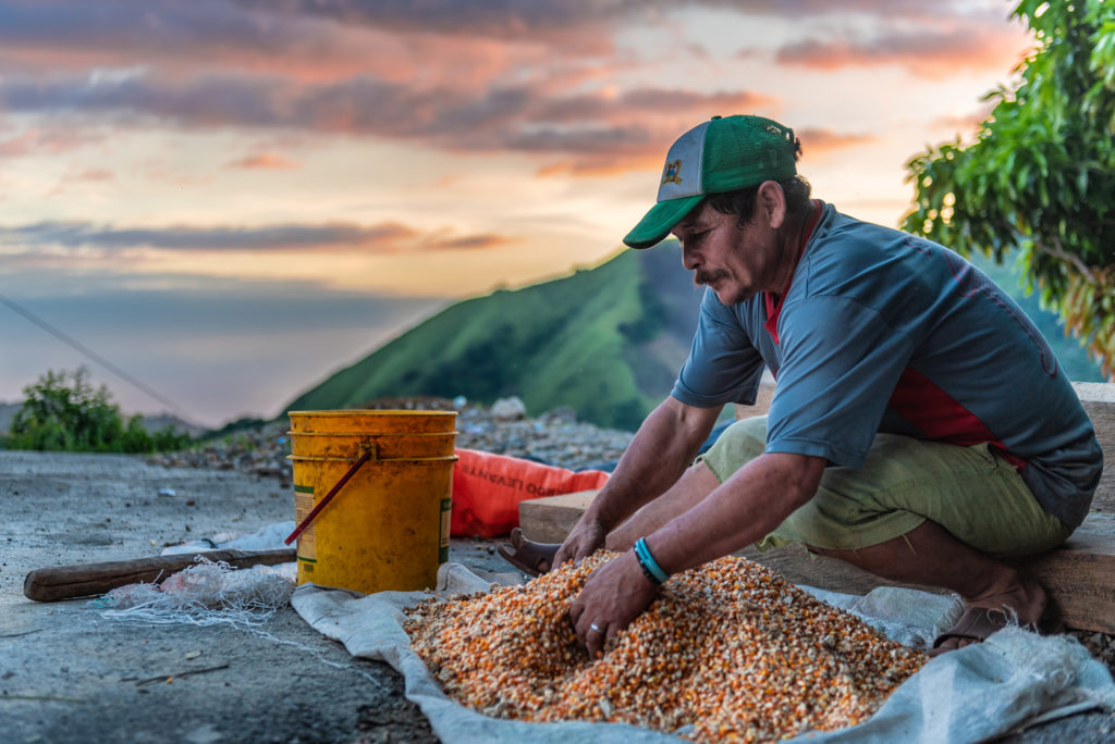 Yordano Niz Sánchez-Campesino Aporreando Maíz - COLOMBIA